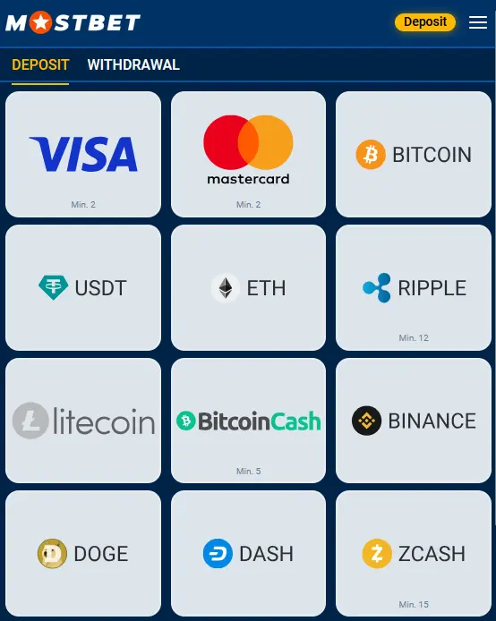 Financial Transaction Management - Mostbet Financial Transaction Management - Mostbet